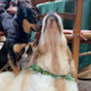 Meet your Posher, Giselle